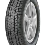 Гума GRIPMAX SUREGRIP EWINTER